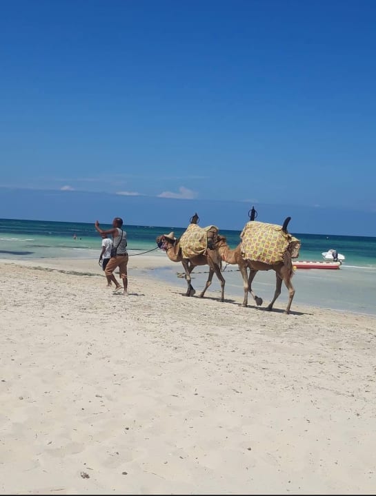 Strand Hotel Marhaba Palace