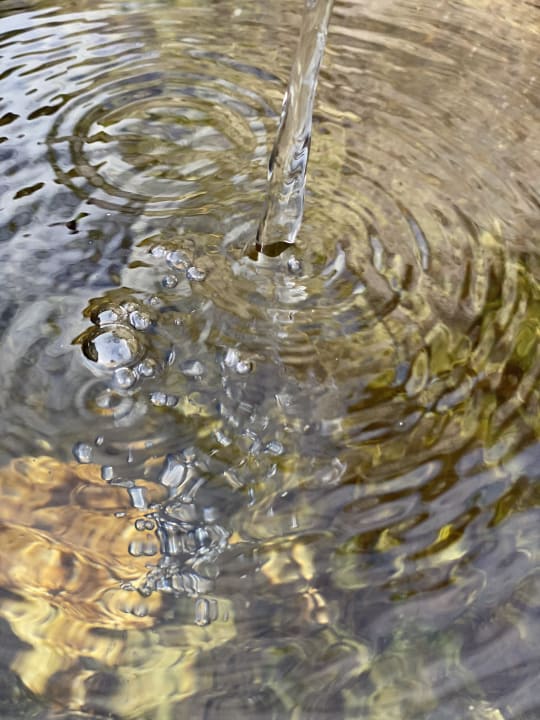 Gartenanlage Unterulpointhof