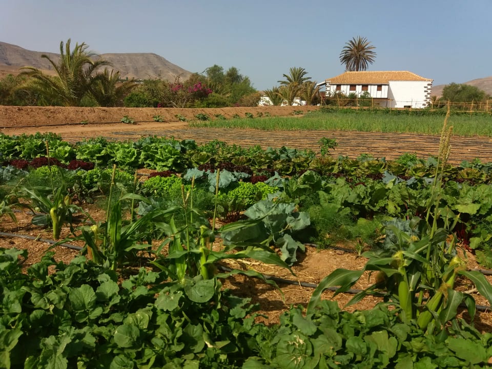 Außenansicht Agro-Hotel Rugama