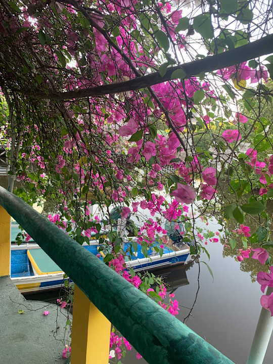 Sonstiges Hotel Rancho Estero y Mar