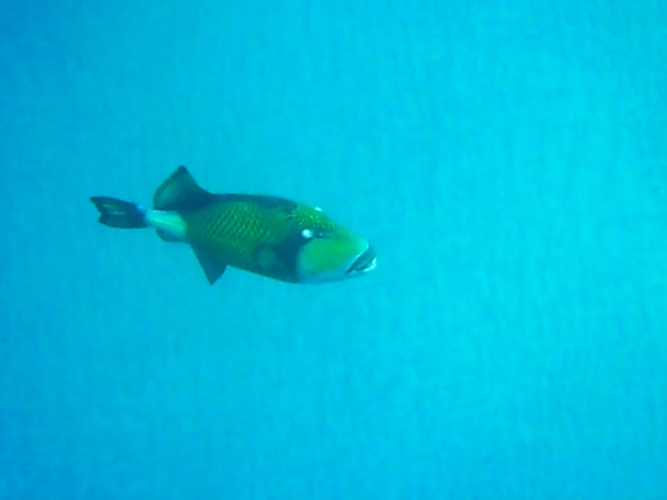 Sport & Freizeit Three Corners Equinox Beach Resort