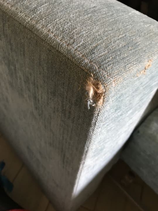 Zimmer Ulusoy Kemer Holiday Club