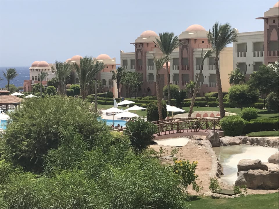 Pool Serenity Alpha Beach