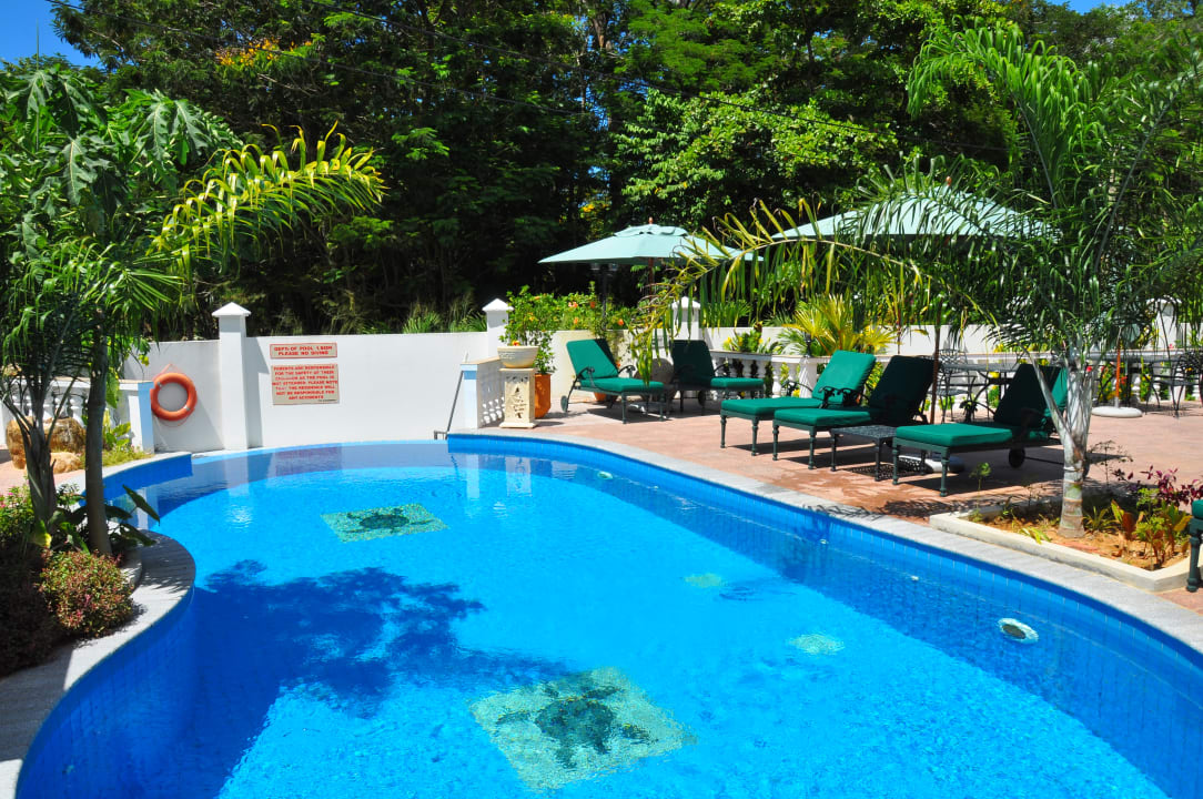 Pool Hanneman Holiday Residence