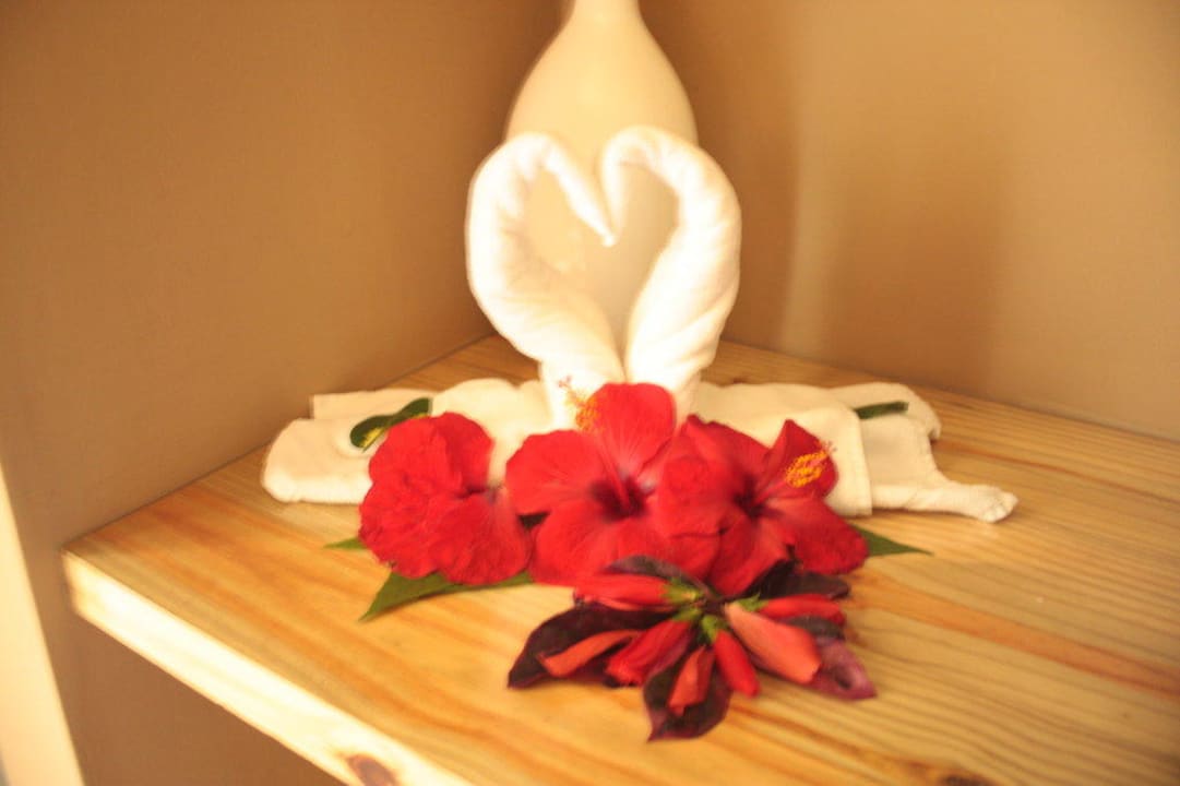 Die reinsten Handtuchkünstler Veranda Pointe aux Biches Hotel