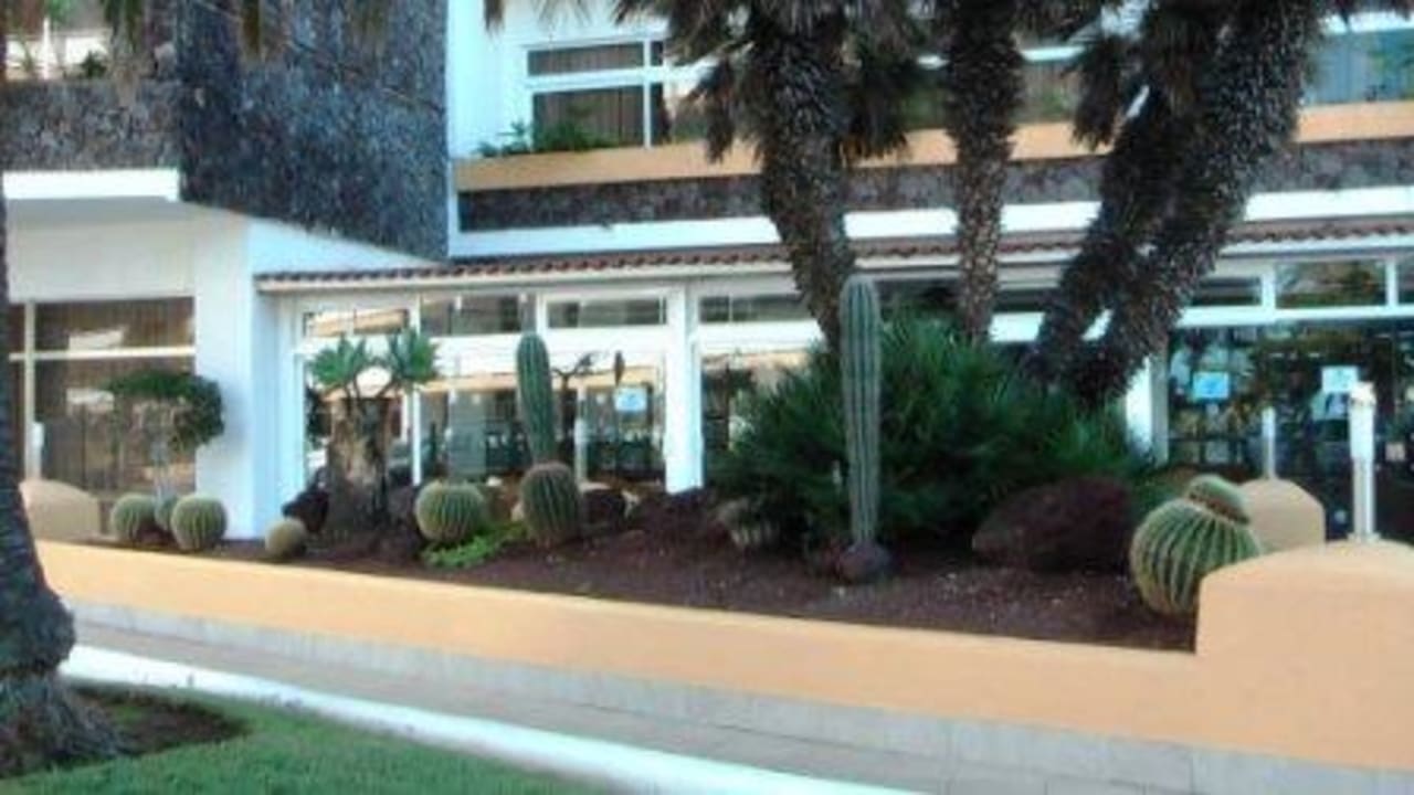 Wintergarten und Kakteenhochbeet BLUESEA Complejo Puerto Resort (Canarife y Bonanza Palace))