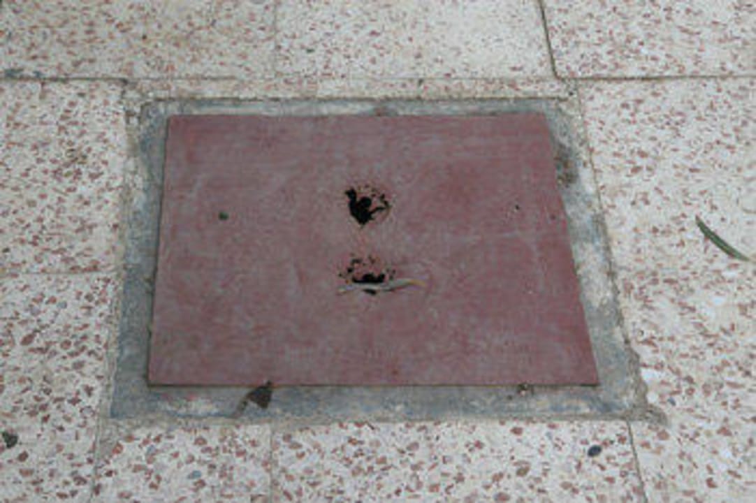 Durchgerostete Schachtklappe Ghazala Beach