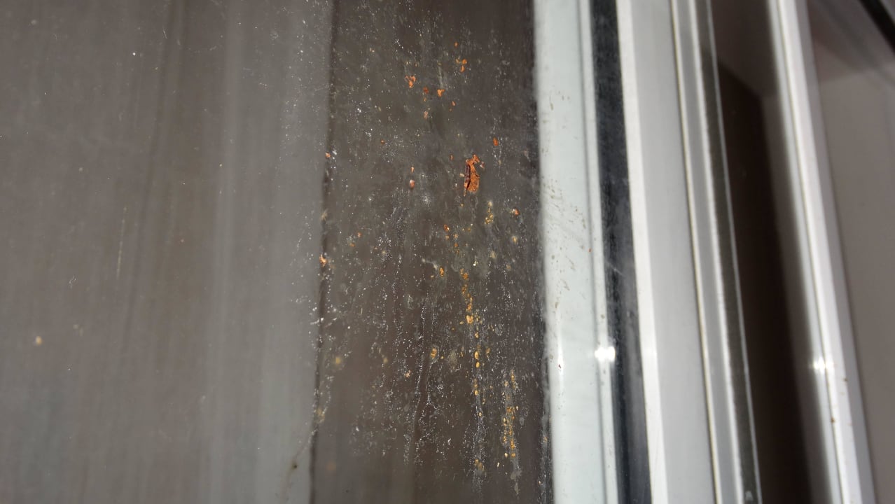 Vogeldreck 3 Tage lang Marien Puerto Plata