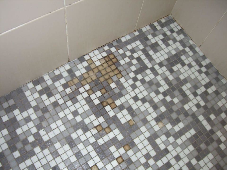 Dusche Club Meeting Hotel