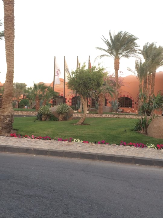 Gartenanlage Jaz Makadi Oasis Resort