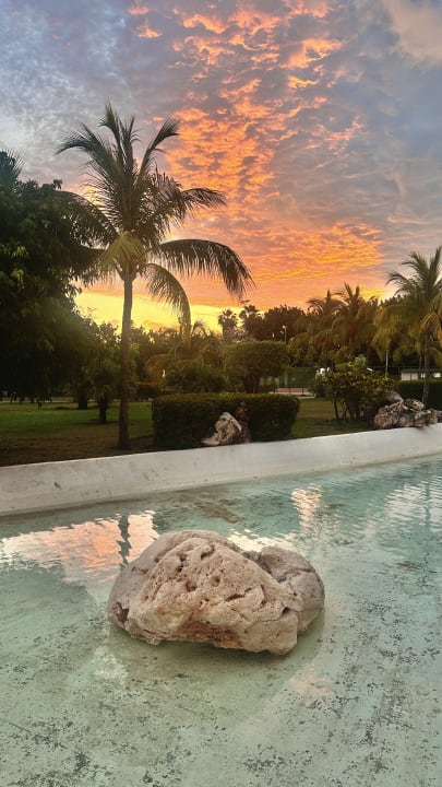 Gartenanlage Blau varadero - Adults only