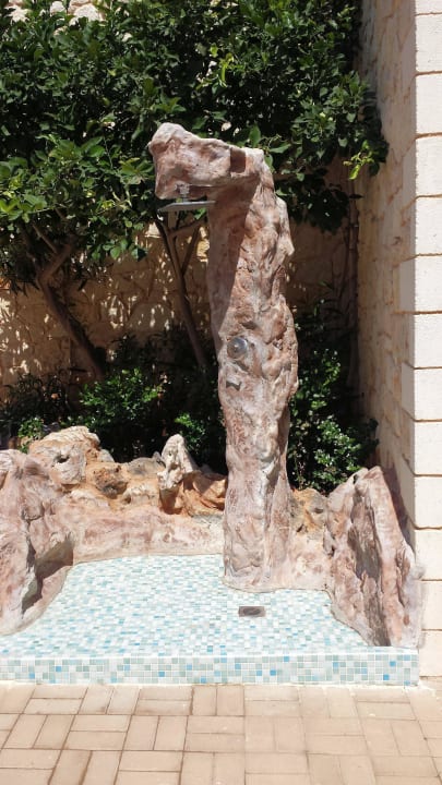 Hübsche Dusche Cactus Royal