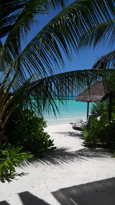 Strand  Summer Island Maldives