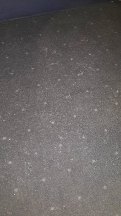 Haare Teppich vor dem Bett Days Inn Leipzig City Centre