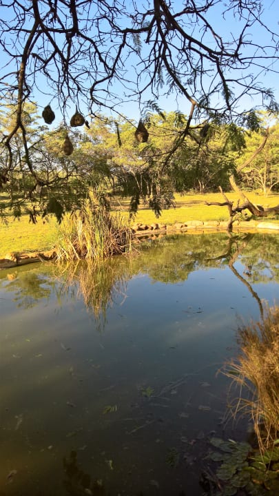 Ausblick Ama Amanzi Bush Lodge