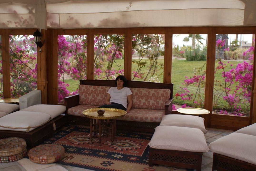 Otoczenie hotelu Steigenberger ALDAU Beach Hotel