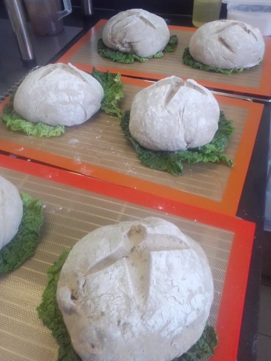 Gastro Kavaliershaus Suitehotel am Finckener See