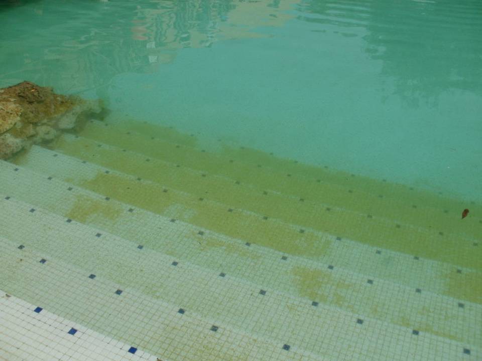 Total voller Algenbewuchs - unbenutzbar Grand Makadi