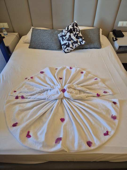 Zimmer Dream Water World