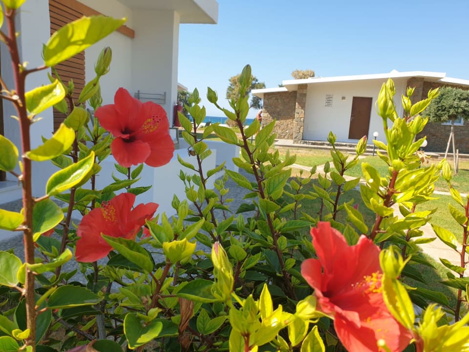 Ausblick Civitel Creta Beach