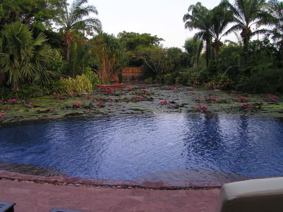 Pool am Lotusteich Anantara Hua Hin Resort