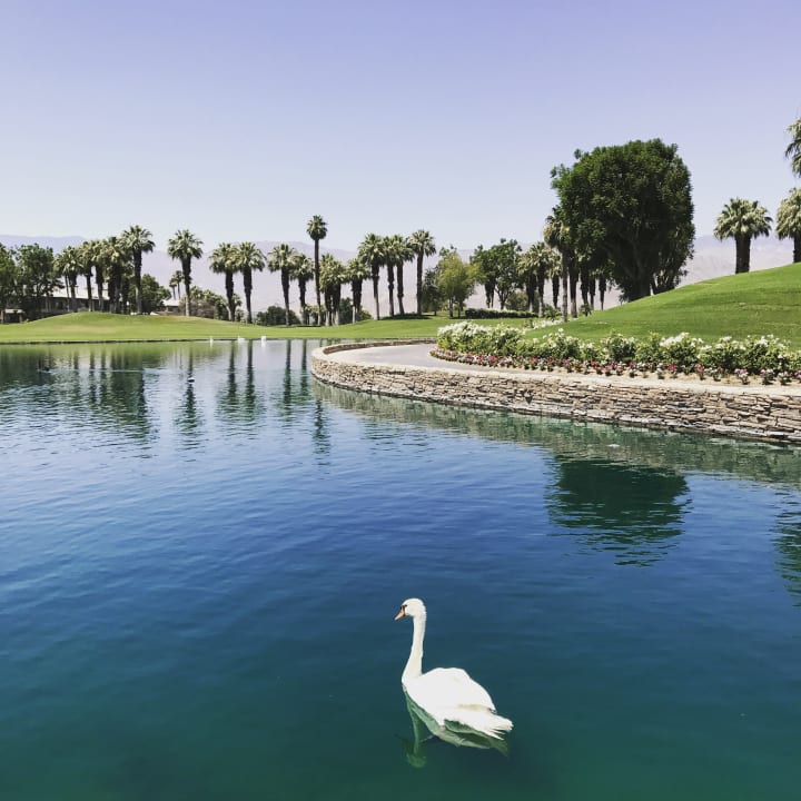 Gartenanlage Hotel JW Marriott Resort & Spa Desert Springs