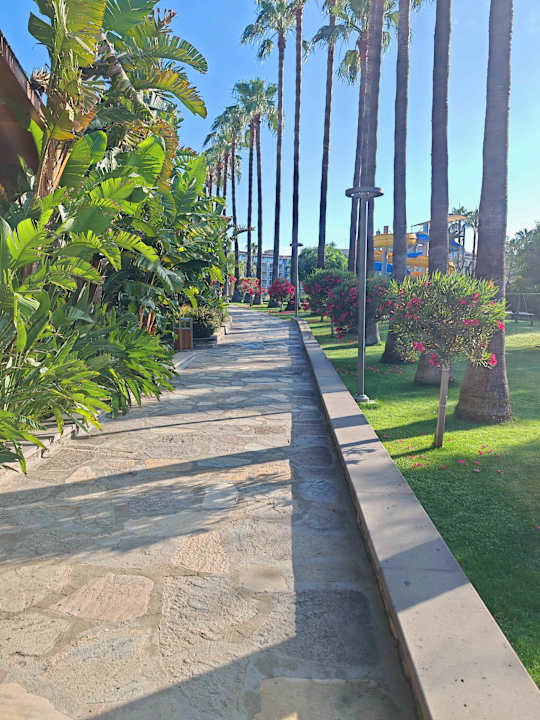 Gartenanlage Arum Barut Collection