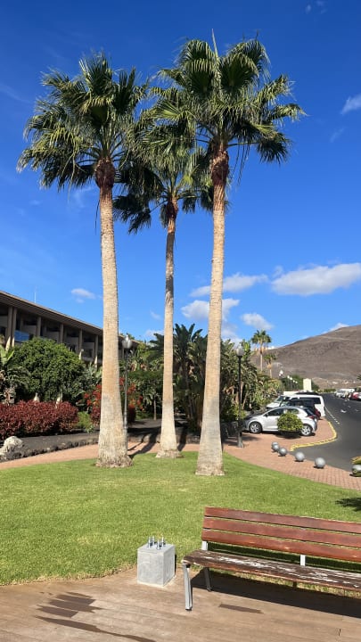 Gartenanlage Iberostar Waves Gaviotas Park