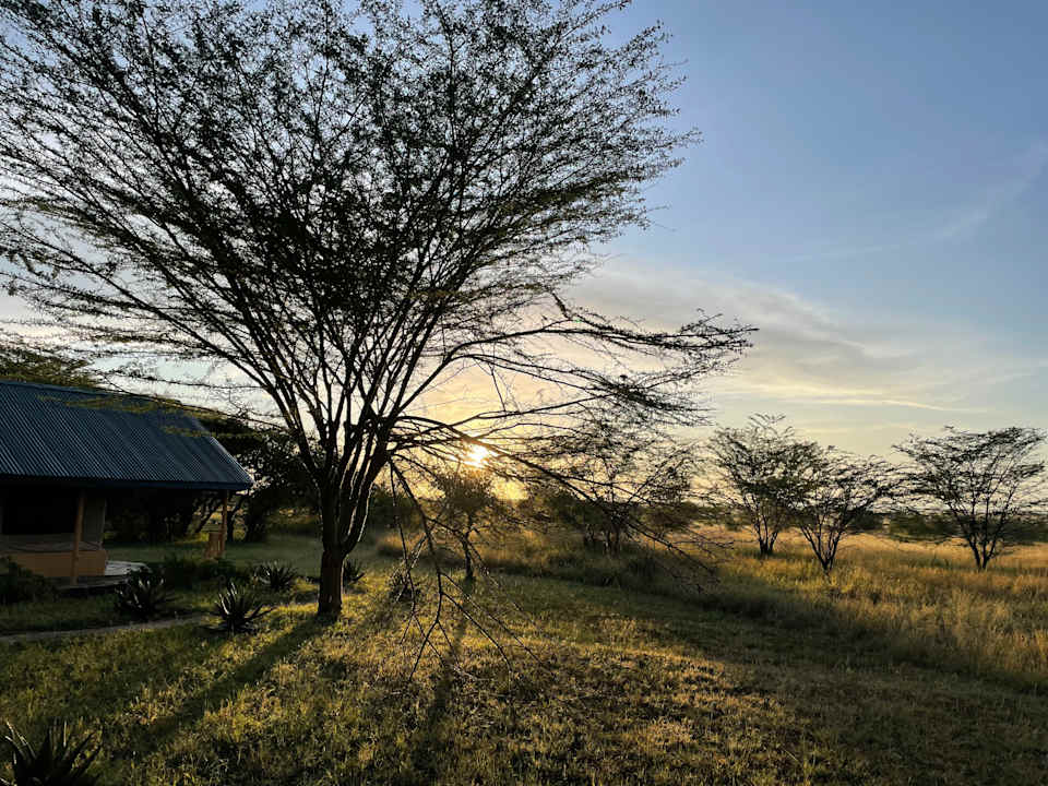 Außenansicht Africa Safari Serengeti Ikoma