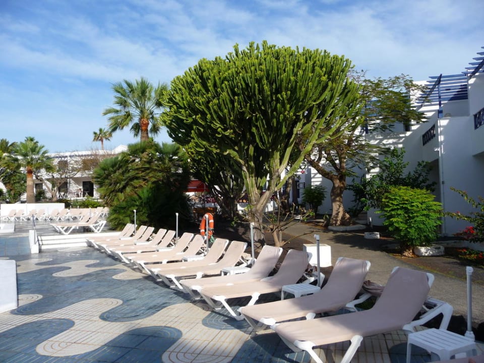 Liegen am Pool Relaxia Olivina