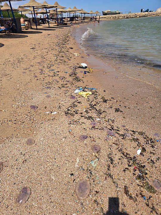 Strand Royal Star Beach Resort