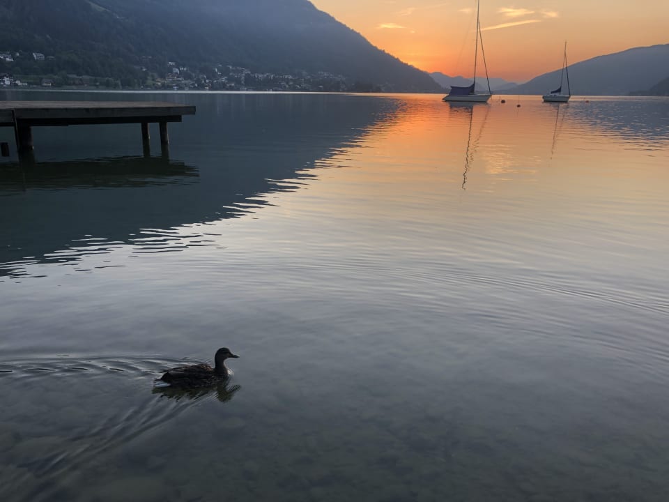 Ausblick ROBINSON LANDSKRON