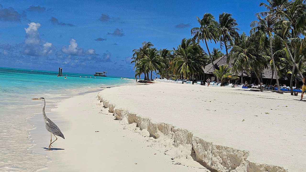 Strand Meeru Maldives Resort Island