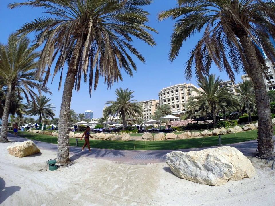 Schöner Garten! The Westin Dubai Mina Seyahi Beach Resort & Marina