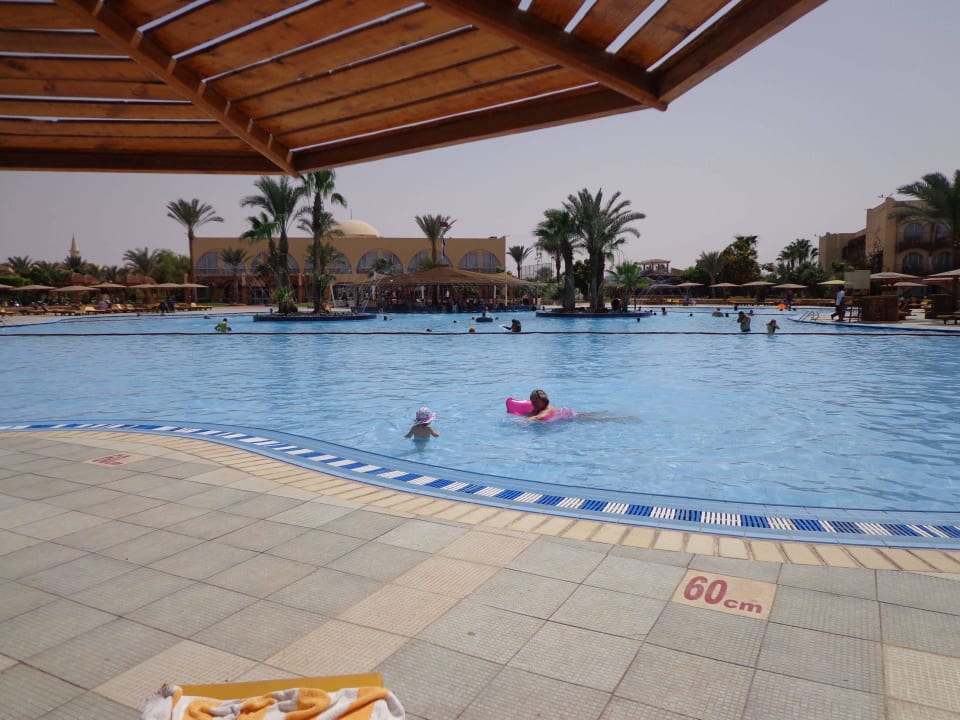 Schöner Pool Desert Rose