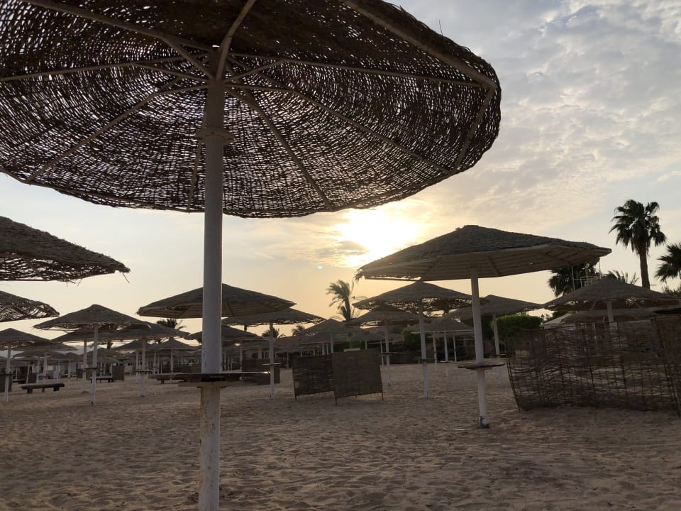 Strand Eagles Paradise Abu Soma