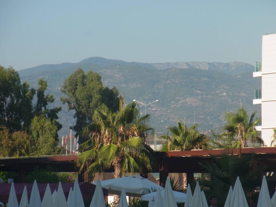 Ausicht vom Pool Hotel Royal Garden Beach