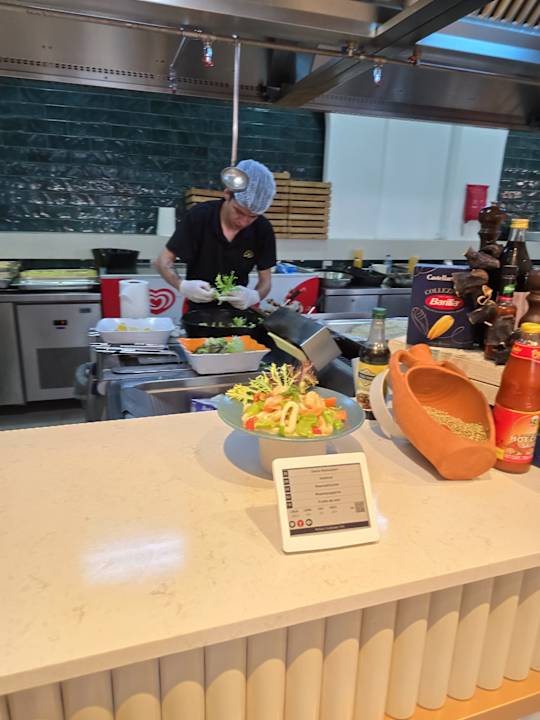 Gastro Seashell Vega