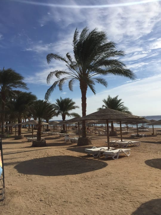Hotelstrand Fort Arabesque Resort, Spa & Villas