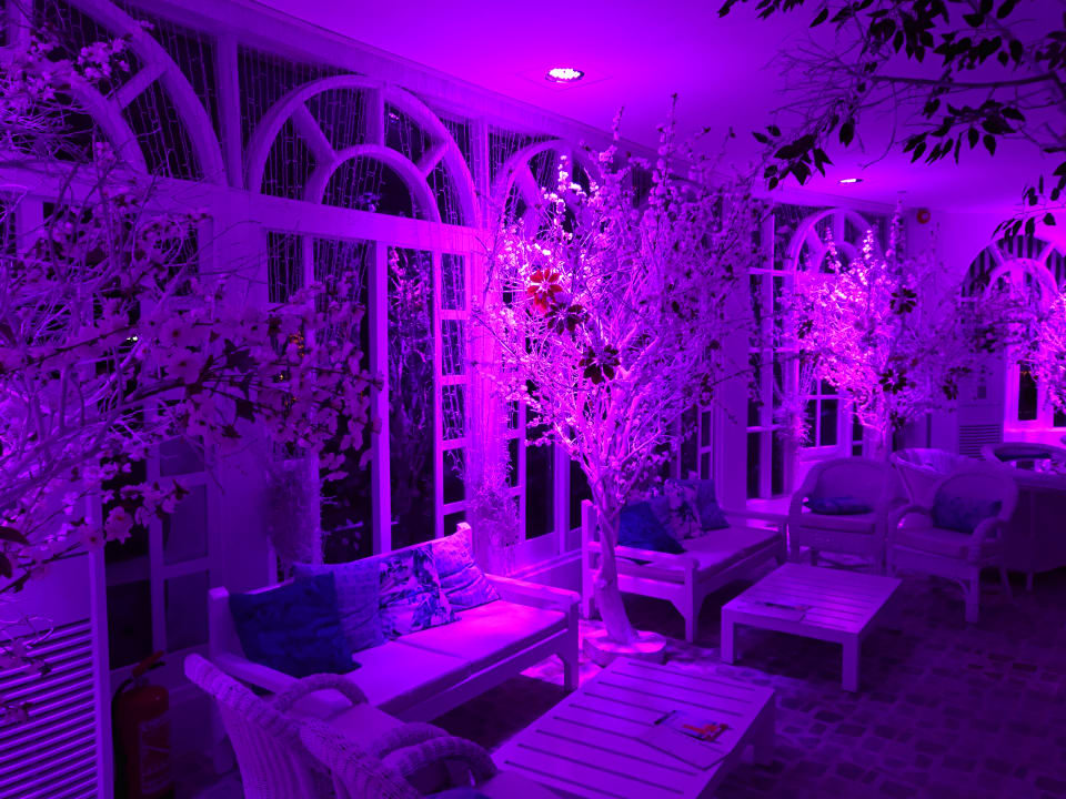 Sonstiges Desert Rose