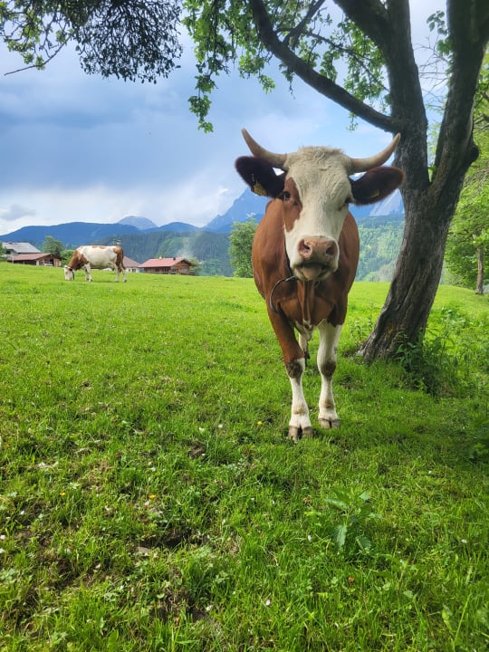 Gartenanlage Abelhof