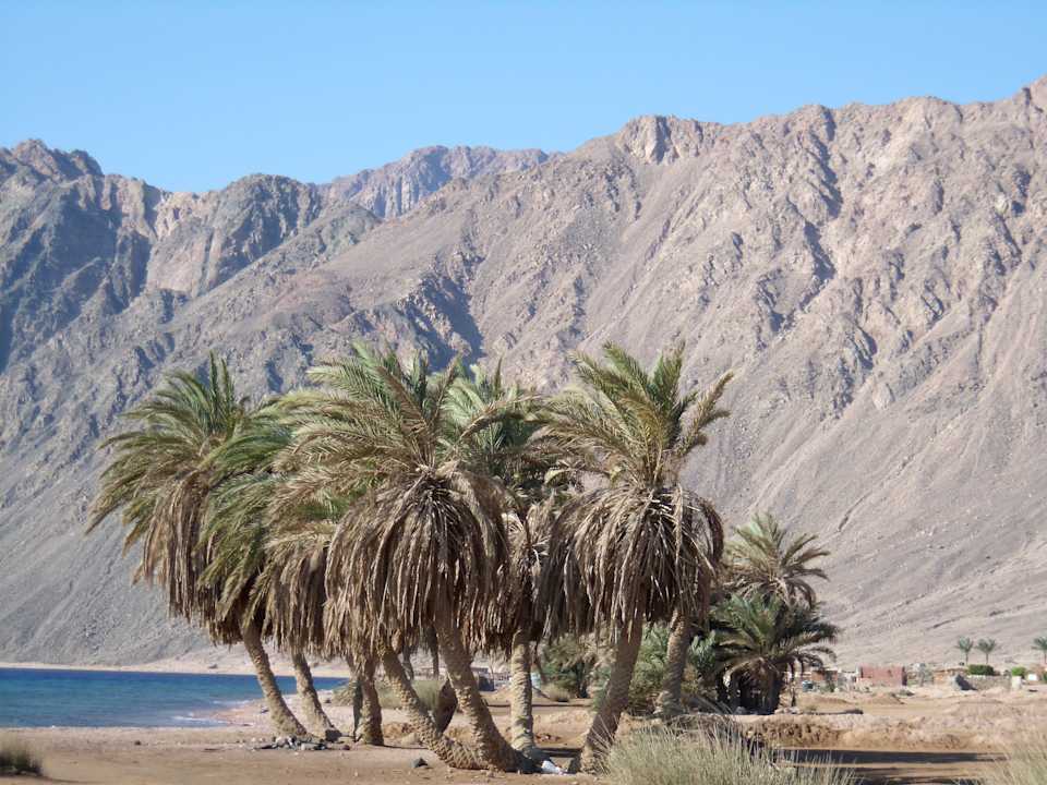 Blick auf das Sinaii-Gebirge Happy Life Village
