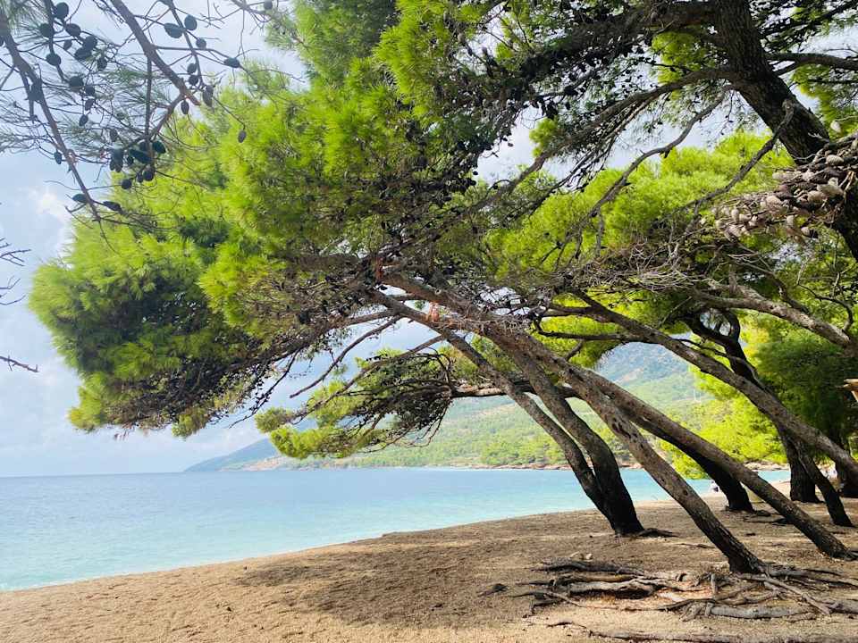 Außenansicht Hotel Bluesun Borak