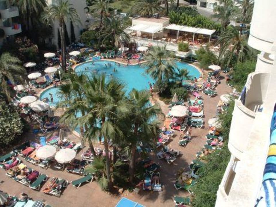 Pool Protur Palmeras Playa Aparthotel