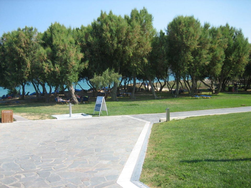 Super schön Neptune Luxury Resort