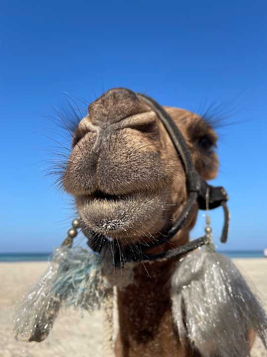 Strand Calimera Yati Beach