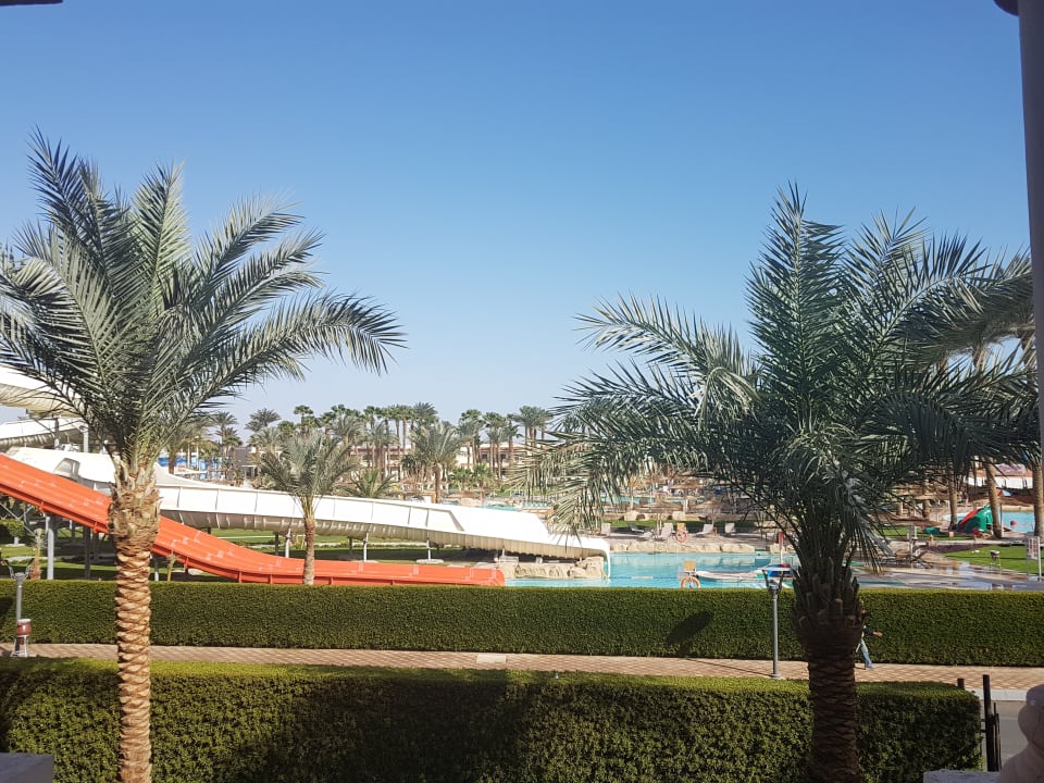 Zimmer Pickalbatros Palace Resort