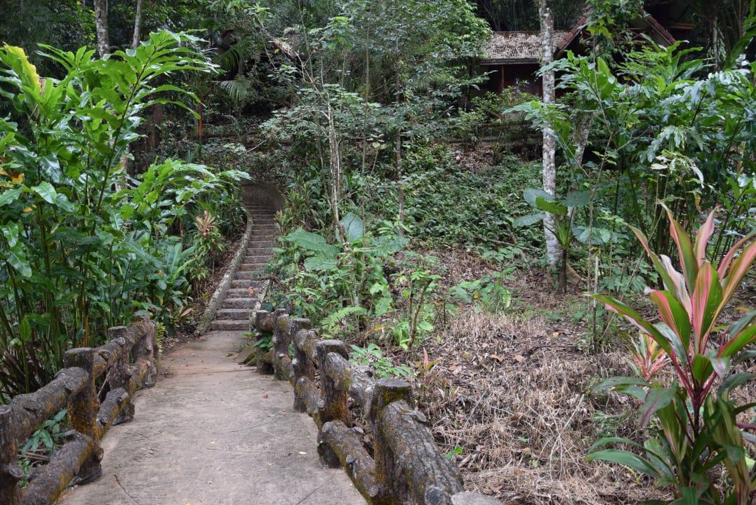 Gartenanlage Kuraburi Greenview Resort