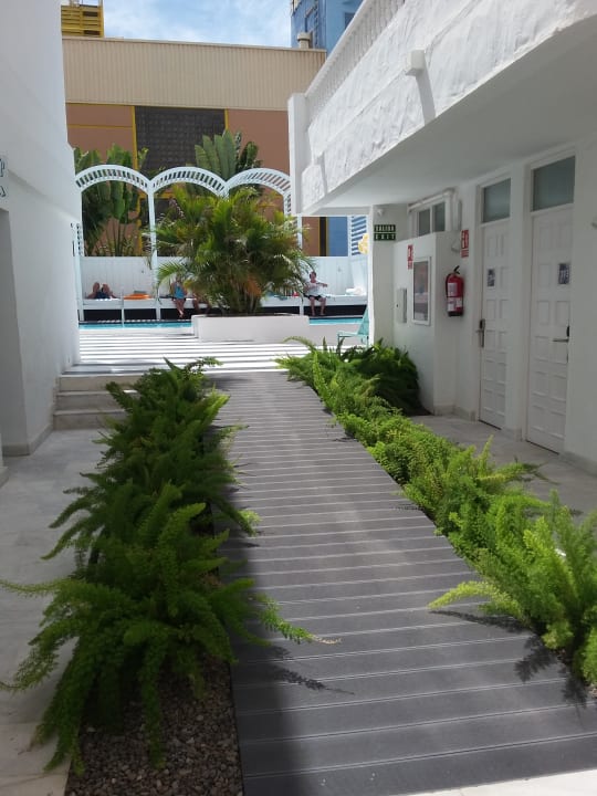 Lobby Hotel Gold by Marina