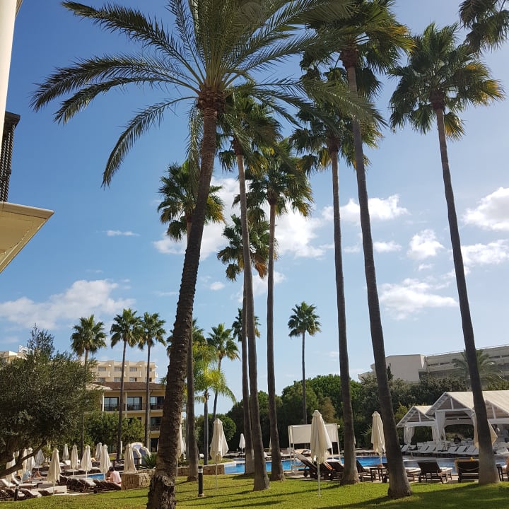 Ausblick CM Mallorca Palace - Adults Only